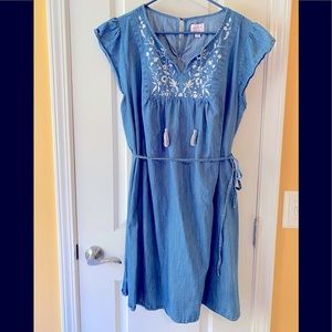 🤰🏻 Chambray Maternity Dress